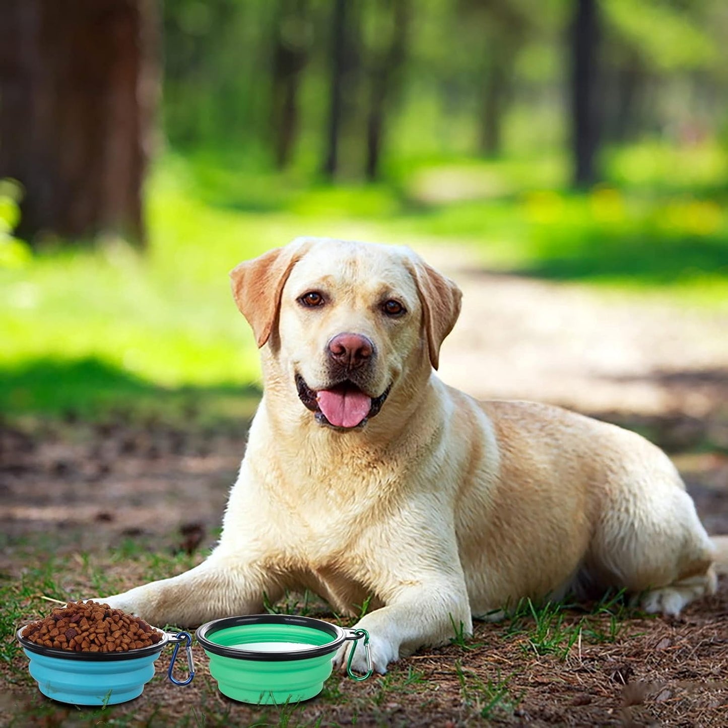 Paws On-the-Go Bowl