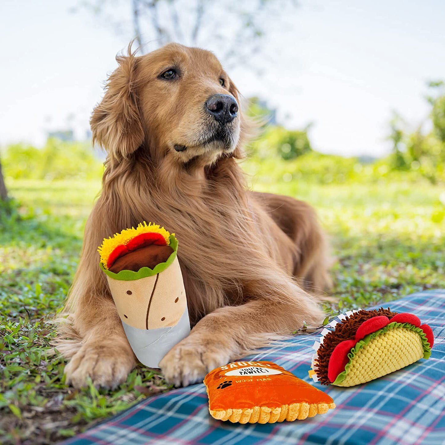 Chew Fiesta - Taco Themed Dog Chew Toys